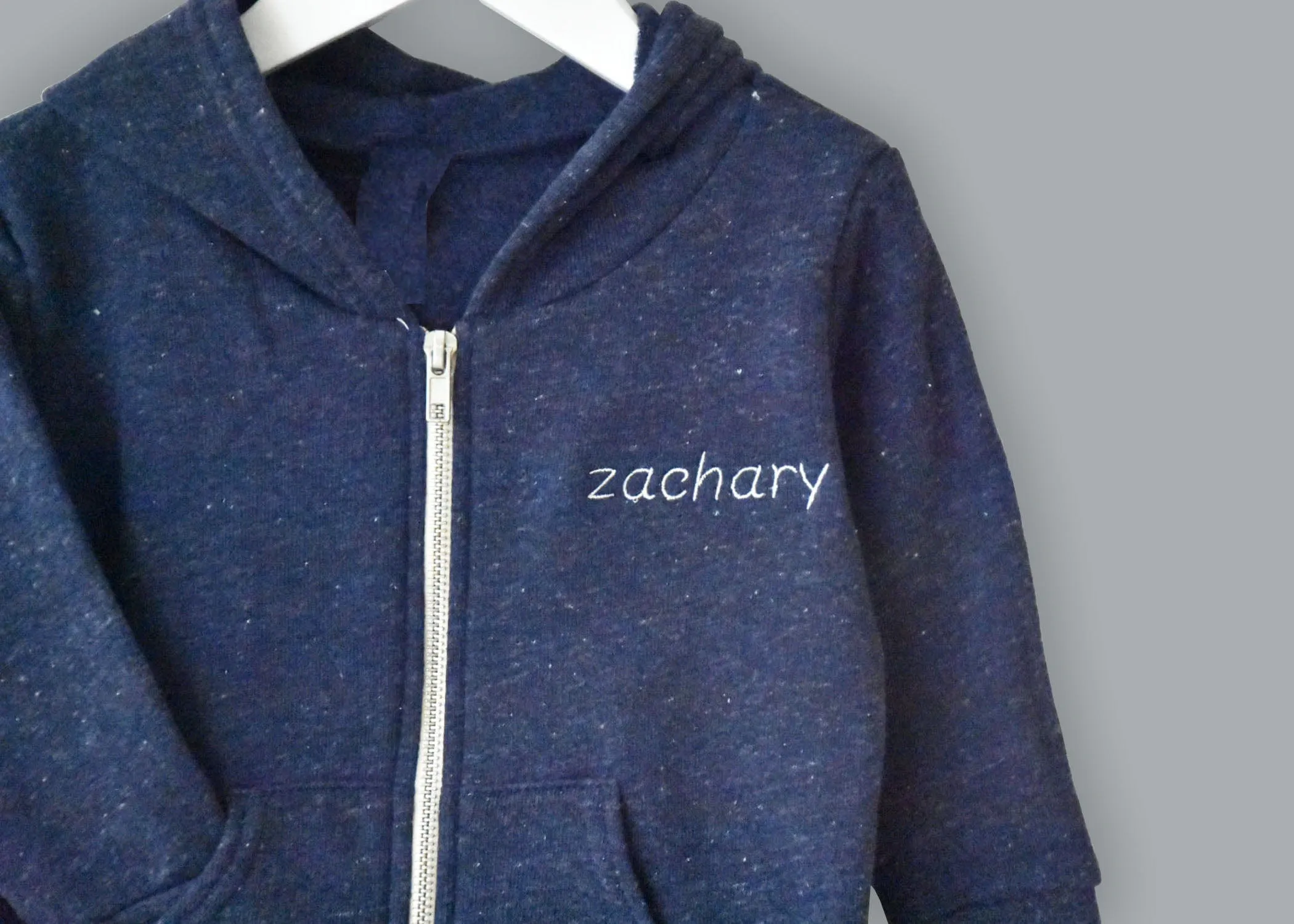 Little Kids Zip Fleece Hoodie